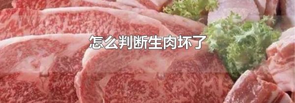 怎么判断生肉坏了