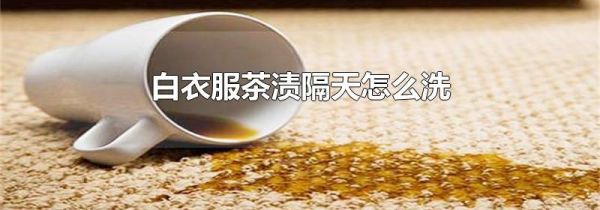 白衣服茶渍隔天怎么洗