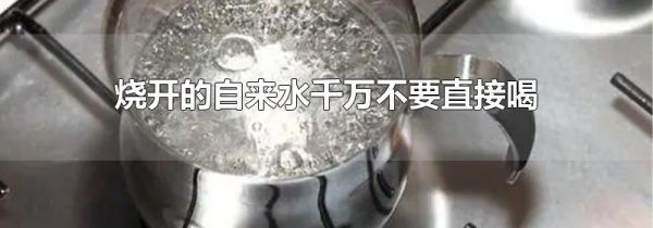 烧开的自来水千万不要直接喝