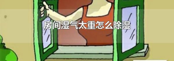 房间湿气太重怎么除湿