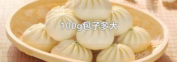 100g包子多大