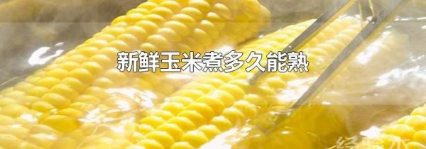 新鲜玉米煮多久能熟