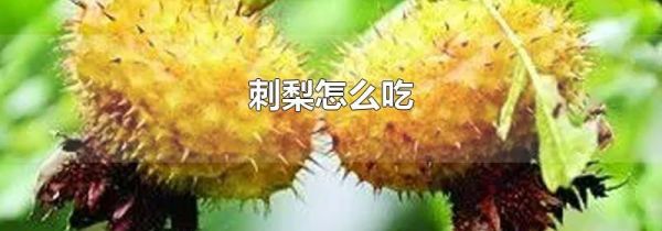 刺梨怎么吃