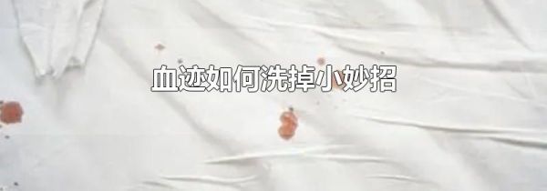 血迹如何洗掉小妙招