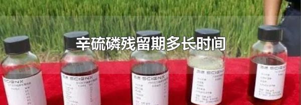 辛硫磷残留期多长时间