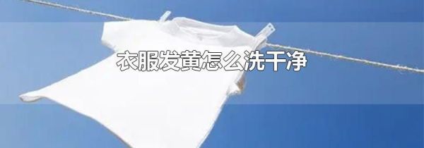 衣服发黄怎么洗干净