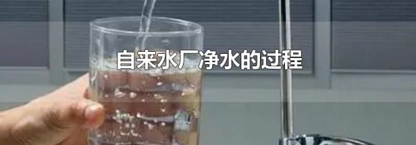 自来水厂净水的过程