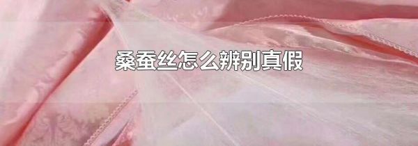 桑蚕丝怎么辨别真假