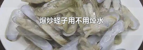 爆炒蛏子用不用焯水
