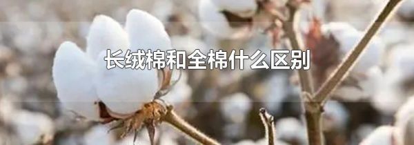 长绒棉和全棉什么区别