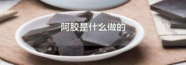 阿胶是什么做的