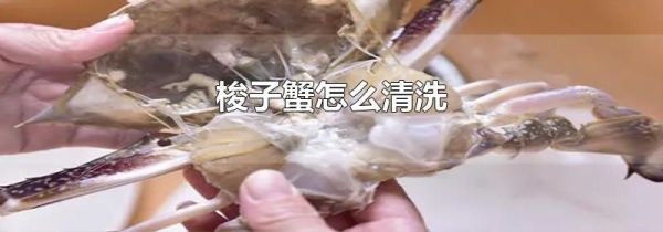 梭子蟹怎么清洗