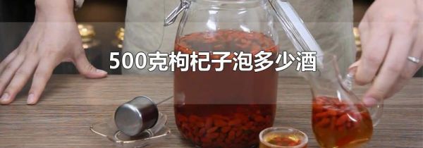 500克枸杞子泡多少酒