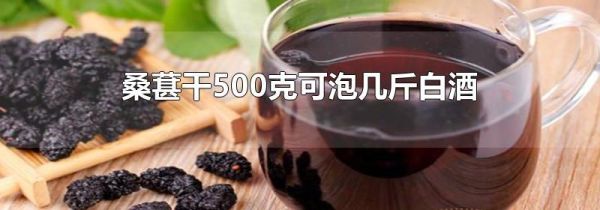 桑葚干500克可泡几斤白酒