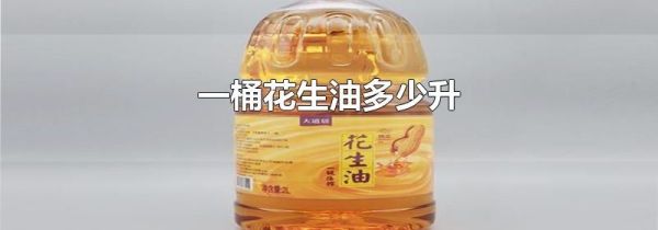 一桶花生油多少升