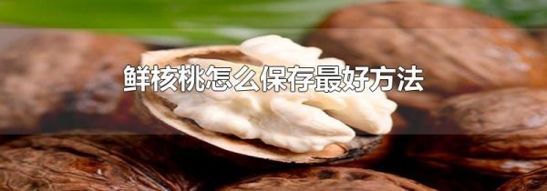 鲜核桃怎么保存最好方法