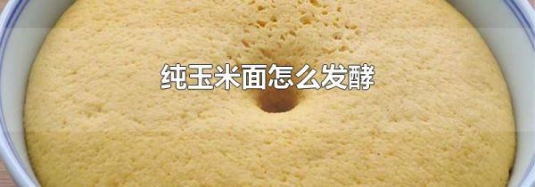 纯玉米面怎么发酵