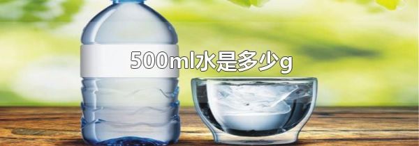 500ml水是多少g