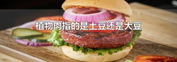 植物肉指的是土豆还是大豆
