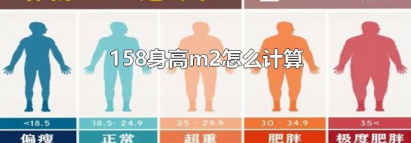 158身高m2怎么计算