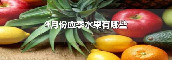 9月份应季水果有哪些