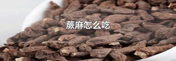 蕨麻怎么吃