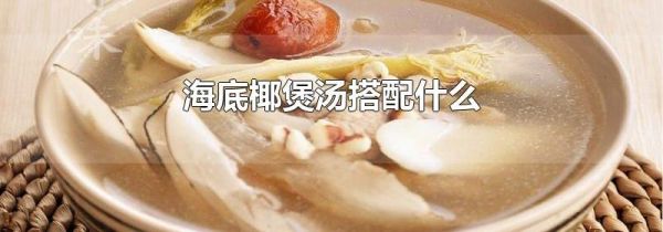 海底椰煲汤搭配什么