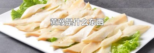 黄喉是什么东西