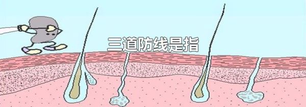 三道防线是指