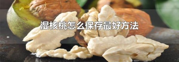 湿核桃怎么保存最好方法