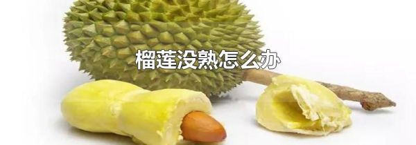 榴莲没熟怎么办