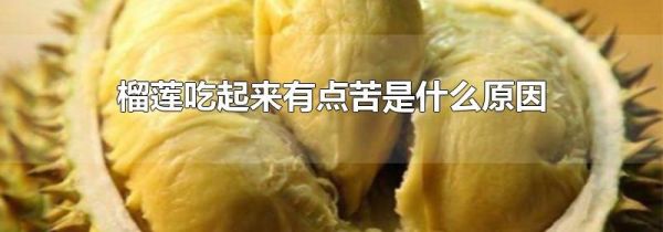 榴莲吃起来有点苦是什么原因