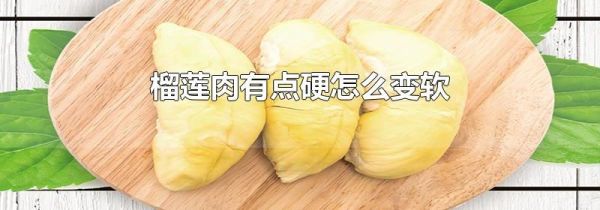 榴莲肉有点硬怎么变软