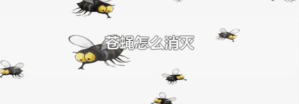 苍蝇怎么消灭