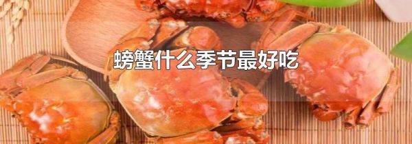 螃蟹什么季节最好吃