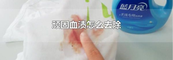 顽固血渍怎么去除