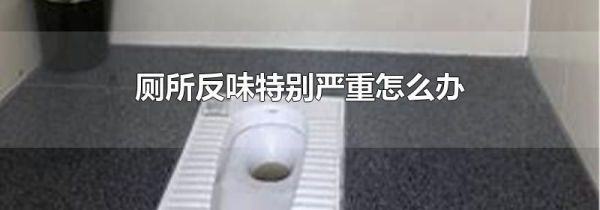 厕所反味特别严重怎么办