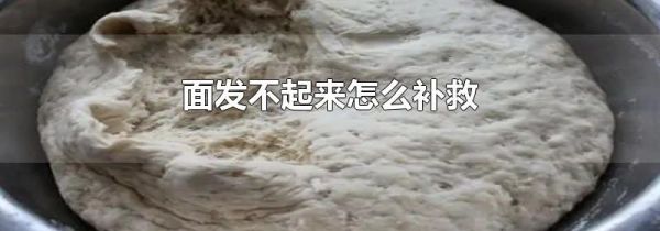 面发不起来怎么补救