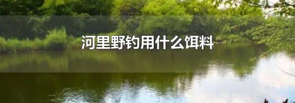 河里野钓用什么饵料