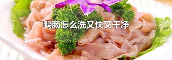 鸭肠怎么洗又快又干净