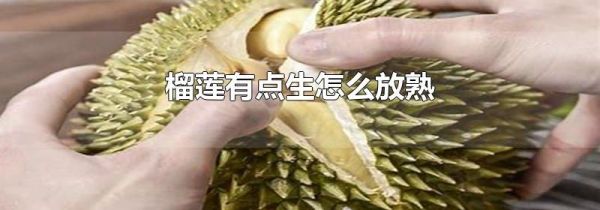 榴莲有点生怎么放熟