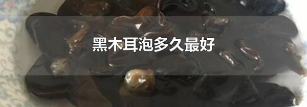 黑木耳泡多久最好
