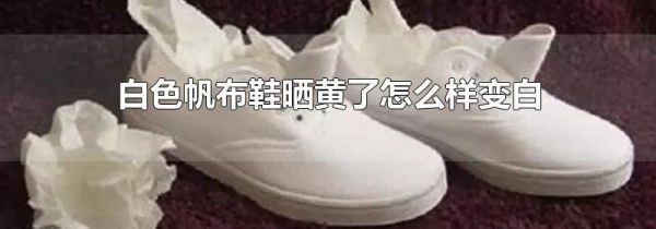 白色帆布鞋晒黄了怎么样变白