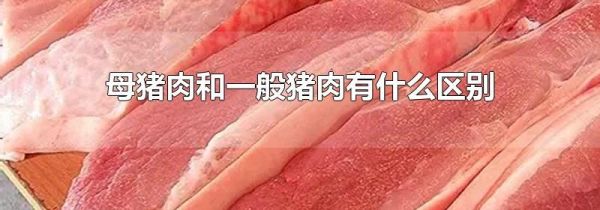 母猪肉和一般猪肉有什么区别