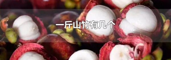 一斤山竹有几个
