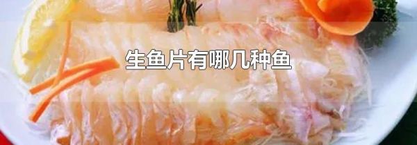 生鱼片有哪几种鱼