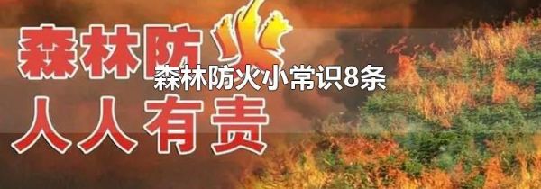 森林防火小常识8条