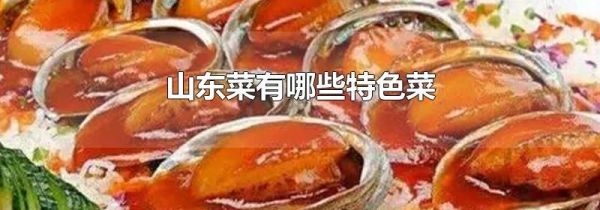 山东菜有哪些特色菜