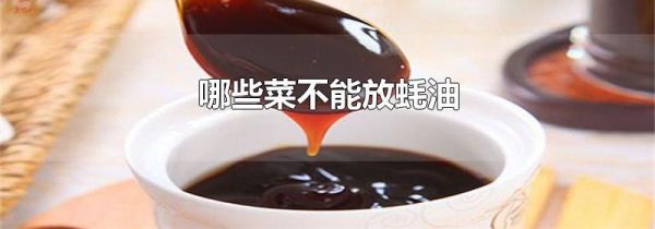 哪些菜不能放蚝油