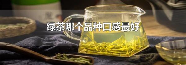 绿茶哪个品种口感最好